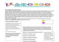 Year 3 English Plan - Ambler Primary School