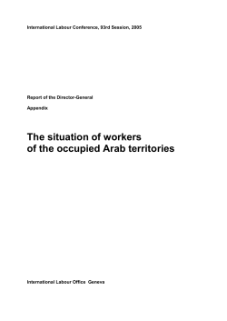 The situation of workers of the occupied Arab territories