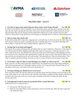 Dog Bite Prevention Quiz