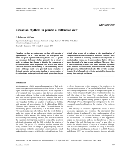 Circadian rhythms in plants: a millennial view