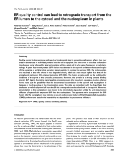 to get the file - Oxford Brookes University