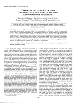 phylogeny and evolution of ferns (monilophytes) with a