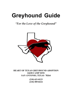adopted greyhound owner`s manual