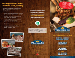 to our brochure