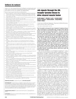 Jeb signals through the Alk receptor tyrosine kinase to drive visceral