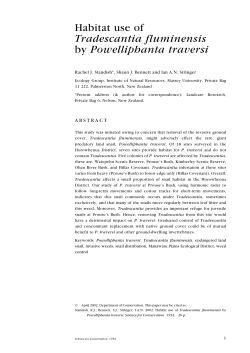 Habitat use of Tradescantia fluminensis by Powelliphanta traversi