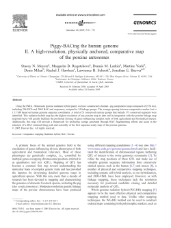 Piggy-BACing the human genome II. A high