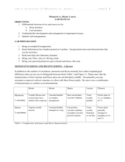 Monocots vs. Dicots: Leaves LAB MANUAL OBJECTIVES