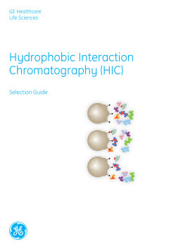 Hydrophobic Interaction Chromatography (HIC)