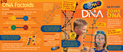 DNA Factoids