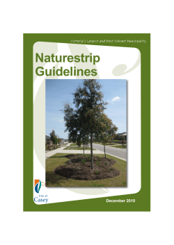 Nature Strip Guidelines Final.indd