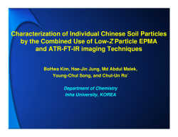 Characterization of Individual Chinese Soil Particles by the