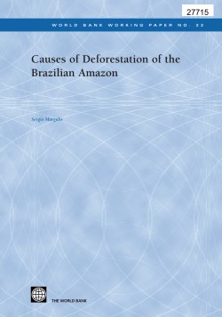 Causes of Deforestation of the Brazilian Amazon