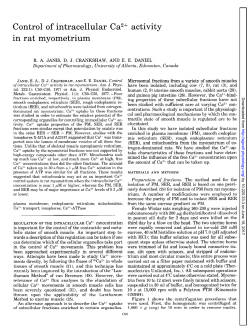 Control of intracellular Ca2+ activity in rat myometrium - AJP-Cell