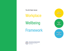 SA Public Sector Workplace Wellbeing Framework