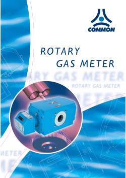 rotary gas meter