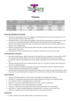 Potatoes - Taylors Bulbs