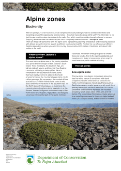 Alpine zones - Department of Conservation