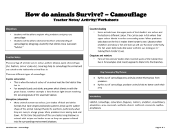 How do animals Survive? &ndash; Camouflage