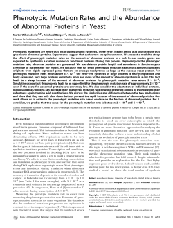 Phenotypic Mutation Rates and the Abundance of Abnormal