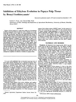 Inhibition of Ethylene Evolution in Papaya Pulp Tissue by Benzyl
