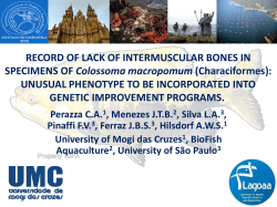 Genetic resources of Octopus vulgaris from the Brazilian coast