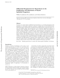Differential Requirement for Mesenchyme in the Proliferation and