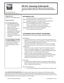 NN-‐04: Amazing Arthropods