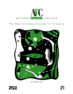Arizona Policy Choices - The New Economy