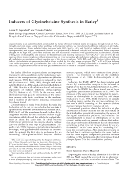 Inducers of Glycinebetaine Synthesis in Barley