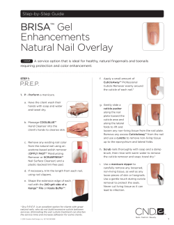 BRISA&trade; Gel Enhancements Natural Nail Overlay