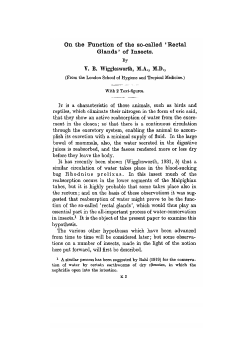 On the Function of the so-called ` Rectal Glands` of Insects.