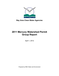 2011 Mercury Watershed Permit Group Report