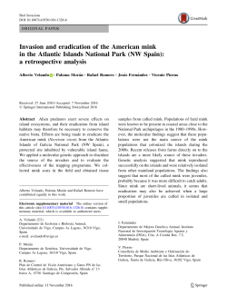 Invasion and eradication of the American mink in the Atlantic Islands