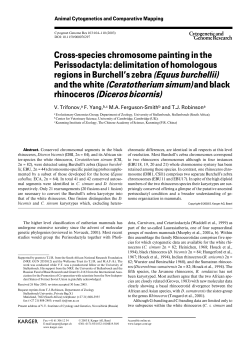 Hered - Rhino Resource Center