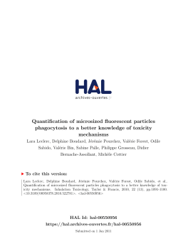 Quantification of microsized fluorescent particles phagocytosis
