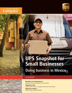 UPS Snapshot for Small Businesses