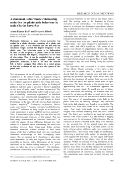 A dominant&ndash;subordinate relationship underlies the