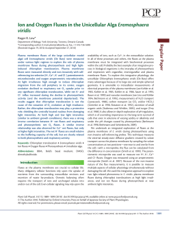 Ion and Oxygen Fluxes in the Unicellular Alga