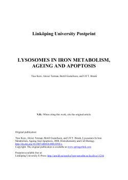 LYSOSOMES IN IRON METABOLISM, AGEING AND APOPTOSIS