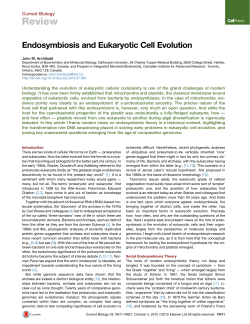 Endosymbiosis and Eukaryotic Cell Evolution