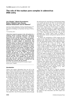 The role of the nuclear pore complex in adenovirus DNA entry