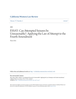 ESSAY: Can Attempted Seizures be Unreasonable?
