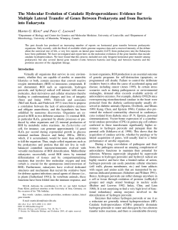 The Molecular Evolution of Catalatic