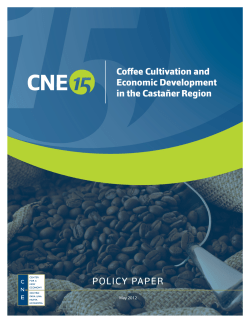 Coffee Cultivation and Economic Development In the Casta&ntilde;er Region
