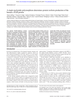 A single nucleotide polymorphism determines protein isoform