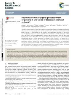 Biophotovoltaics: oxygenic photosynthetic organisms in the world of