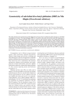 Genotoxicity of sub-lethal di-n-butyl phthalate (DBP) in Nile tilapia