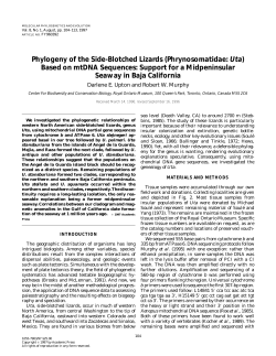 1997 Upton and Murphy Uta