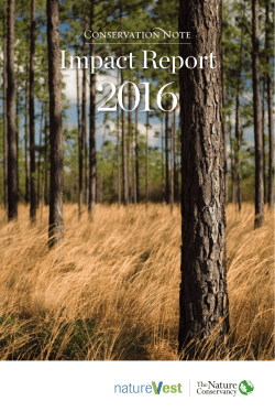2016 Investment Impact Report